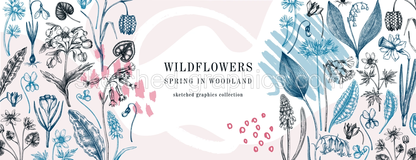 Trendy banner with wildflowers sketches and abstract elements. Floral design in collage style. Delicate contoured blooming flowers and leaves border. Spring woodland botanical vector background Illustration